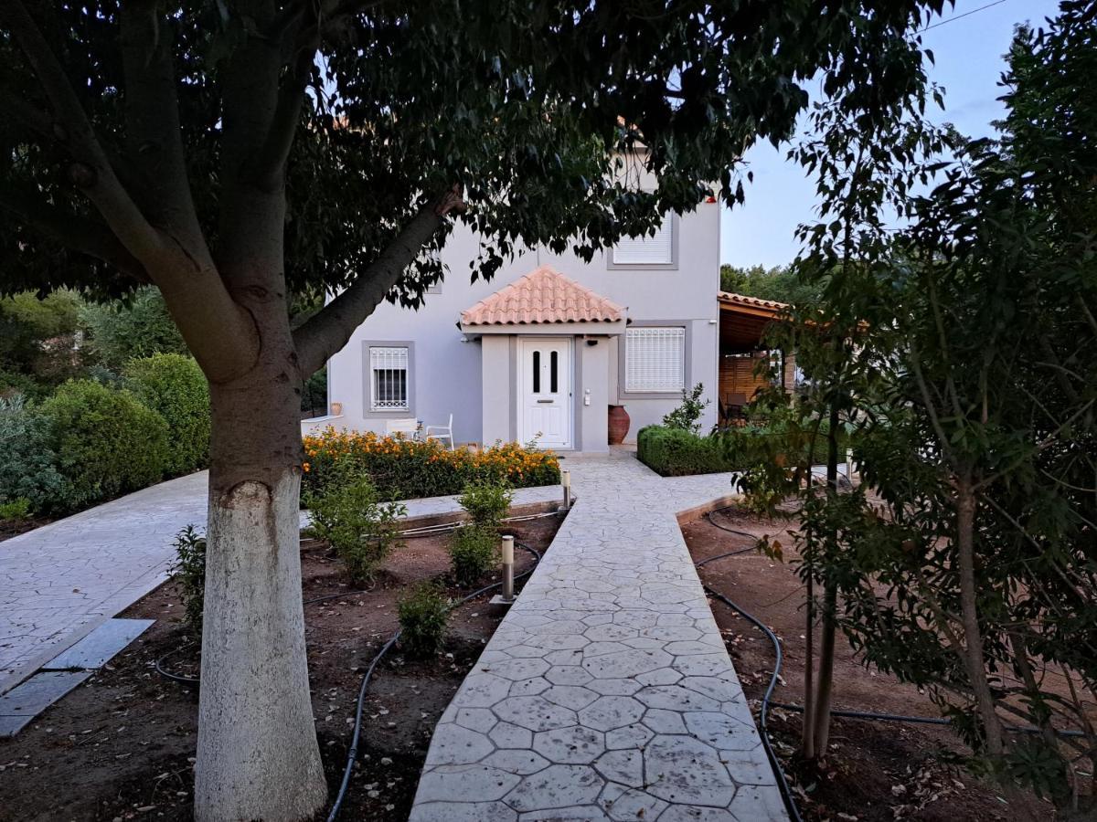 Studio Katafigi Anavyssos Exterior photo